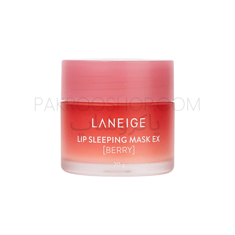 بالم لب لانیژ