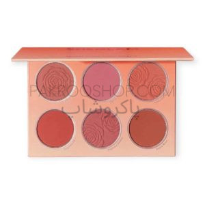 پالت رژگونه 6 رنگ نارنجی شیگلم